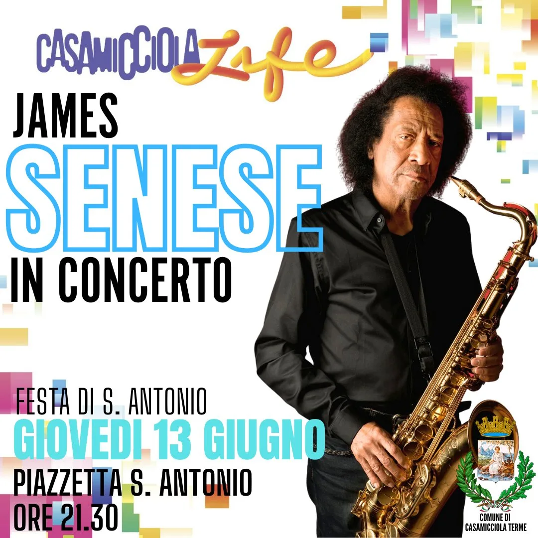 James Senese in concert