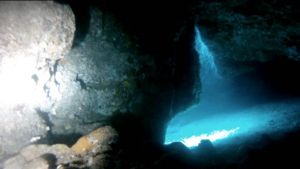 Immersione secca delle formiche InfoIschia