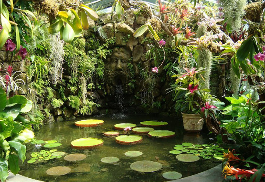 Ischia cosa vedere - La Mortella