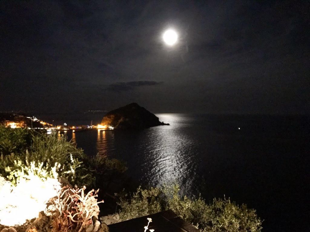 Ristorante La Tuga Sant'Angelo Ischia