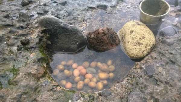 Sorgeto - Cottura delle uova con l'acqua Termale