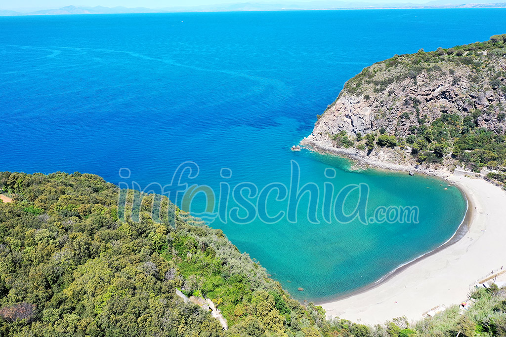 La foto che ha fatto il giro dei quotidiani nazionali.