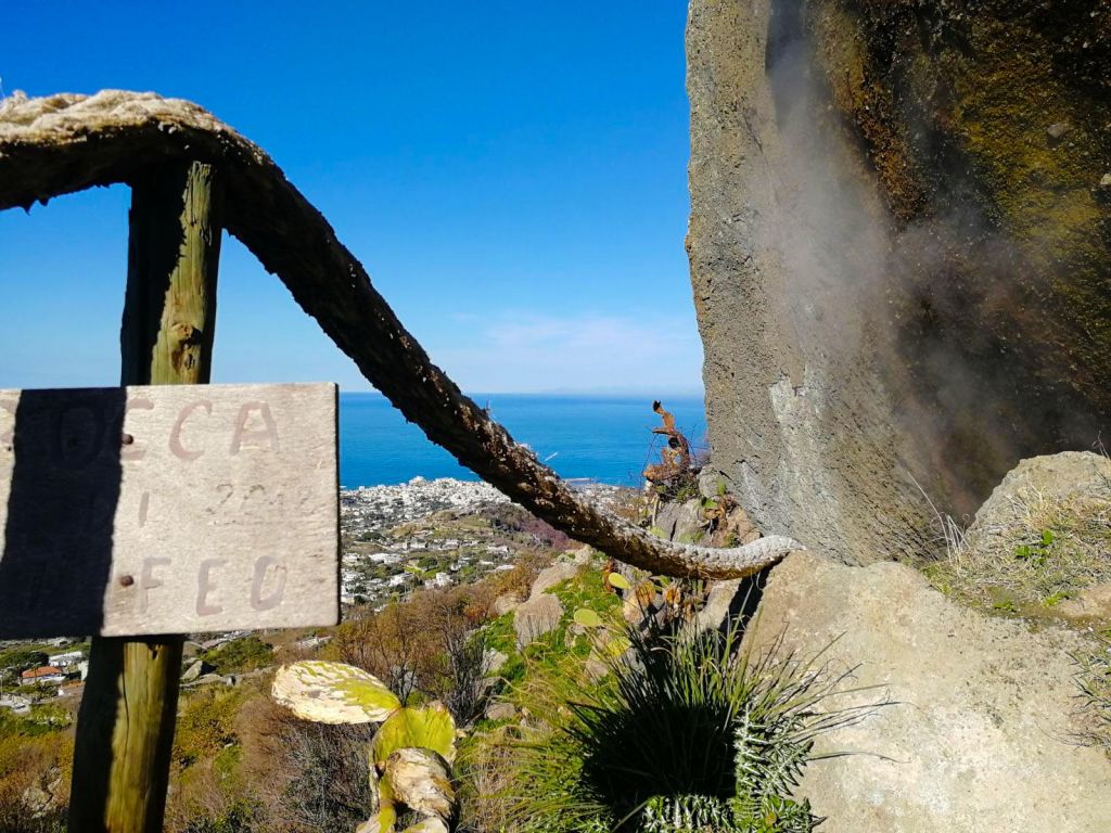 bocca di tifeo Ischia