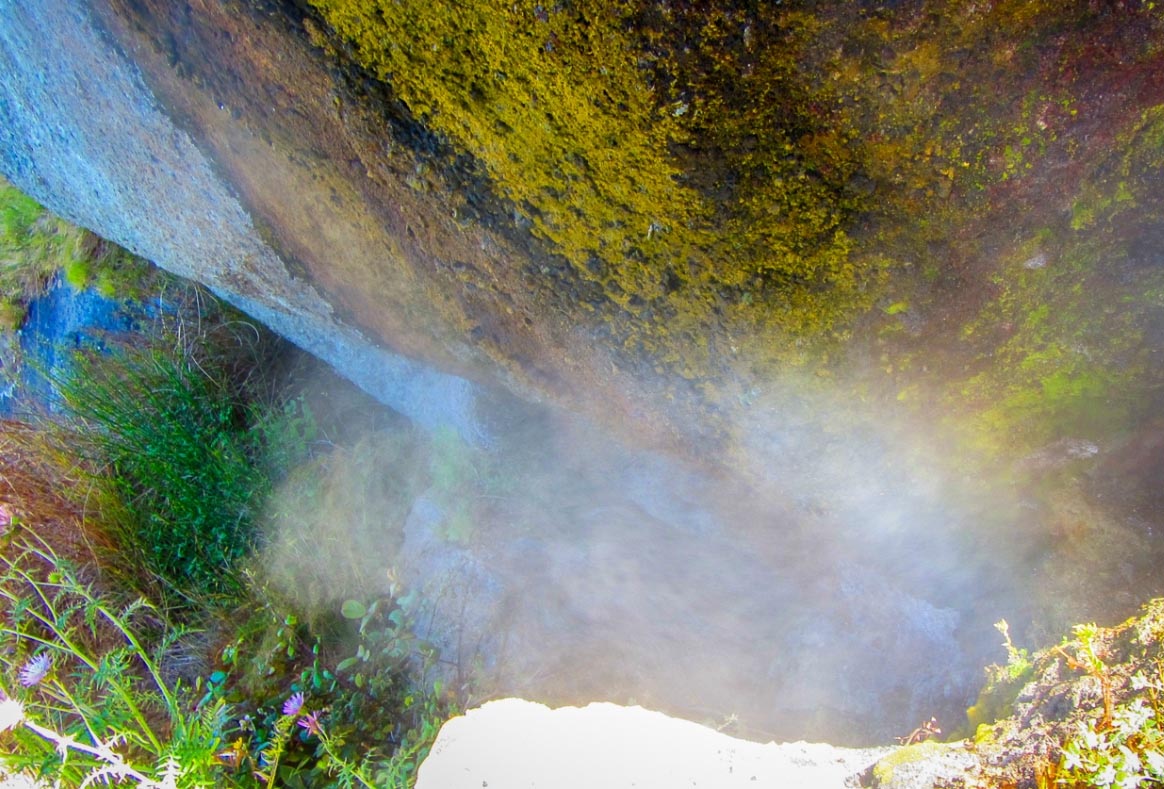 bocca di tifeo Ischia