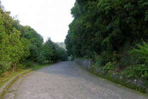 bosco della maddalena casamicciola terme