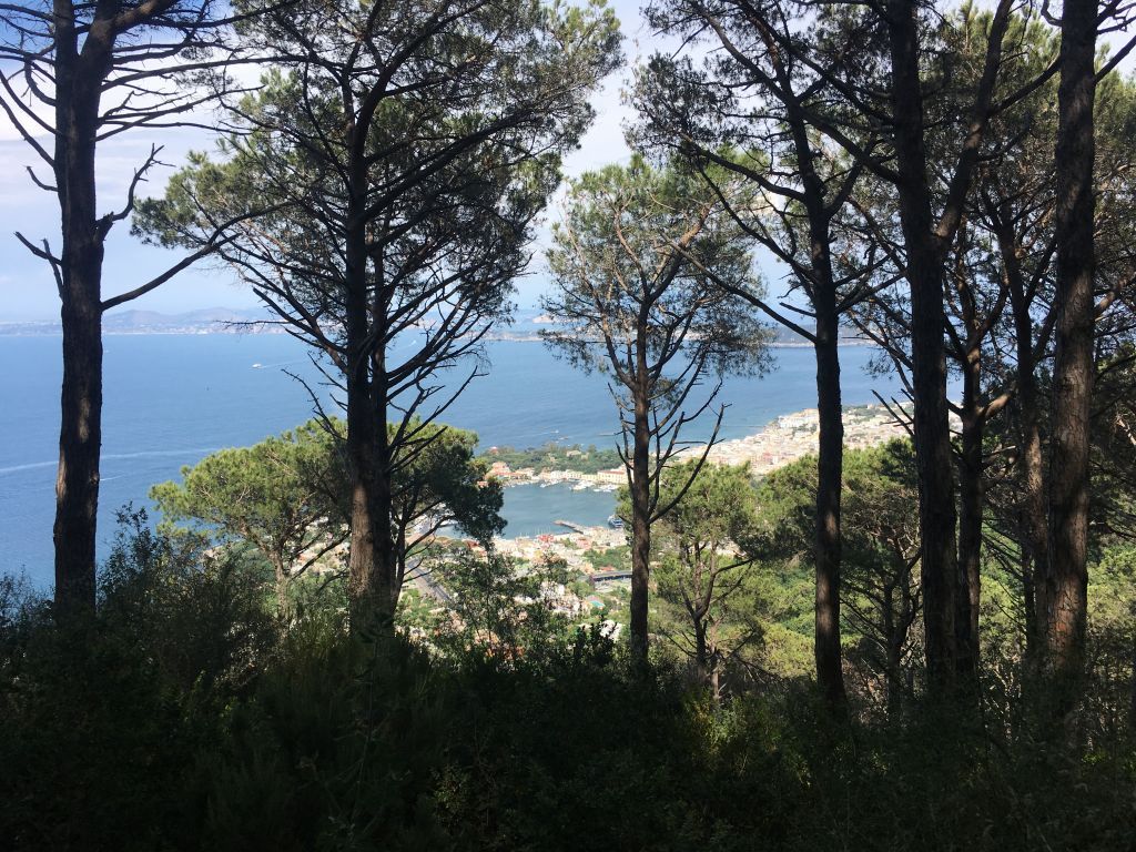 bosco-della-maddalena-ischia