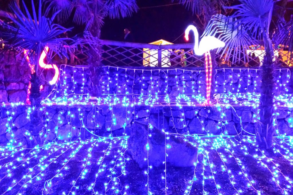 Natale a Ischia: il bosco incantato