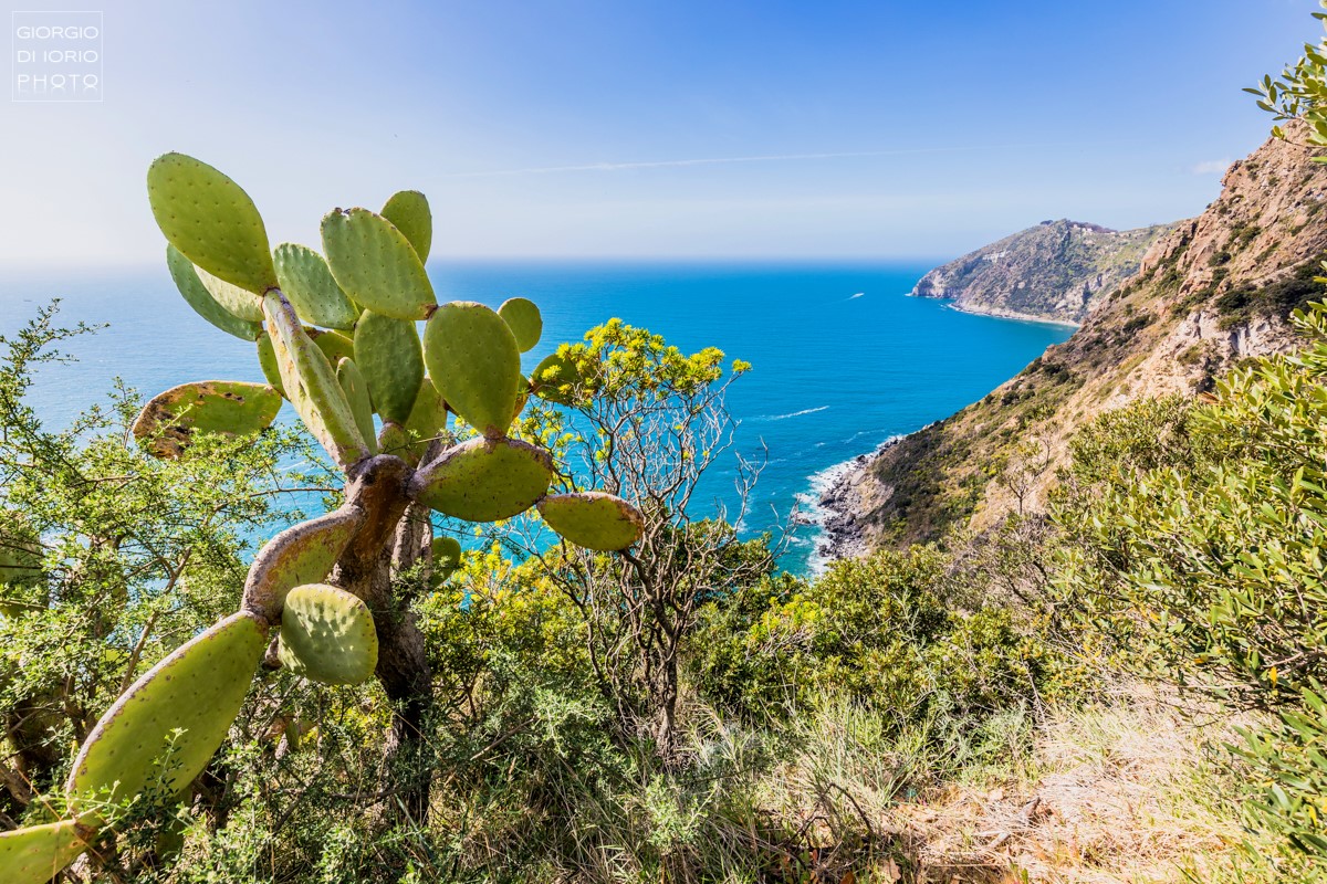 Da Piano Liguori a San Pancrazio