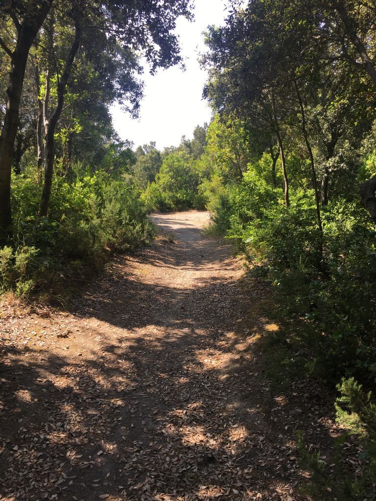 fondo-d-oglio-cretaio