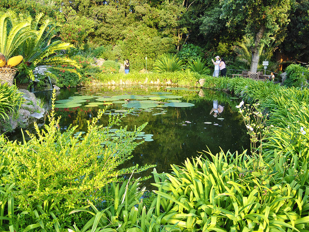 Lo stagno del Coccodrillo Giadino la Mortella Forio d'Ischia