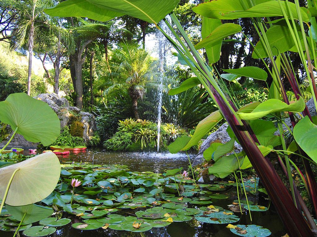 La Mortella Isola d'Ischia