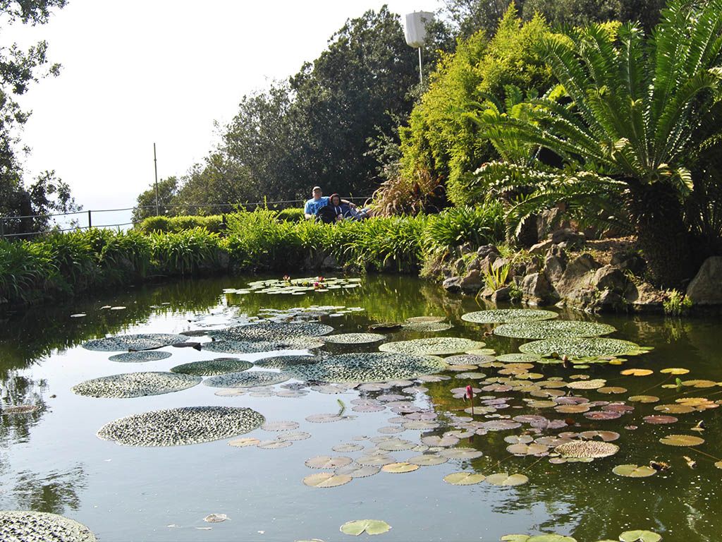 La Mortella Forio d'Ischia