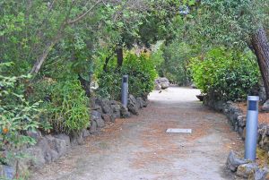 la pineta mirtina ischia porto