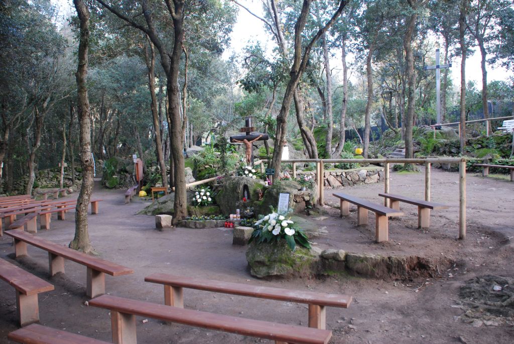 Madonna di Zaro, Apparizioni e Messaggi nel Bosco di Forio