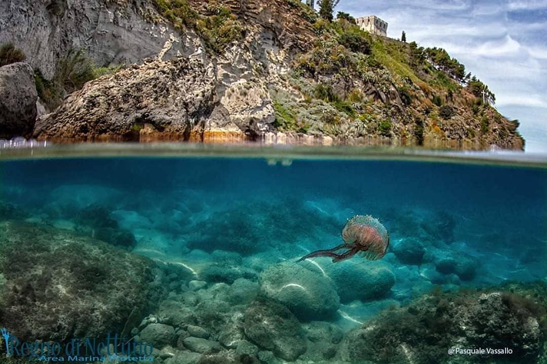 Ischia, 2020 mare eccellente