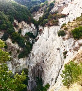 pizzi bianchi ischia