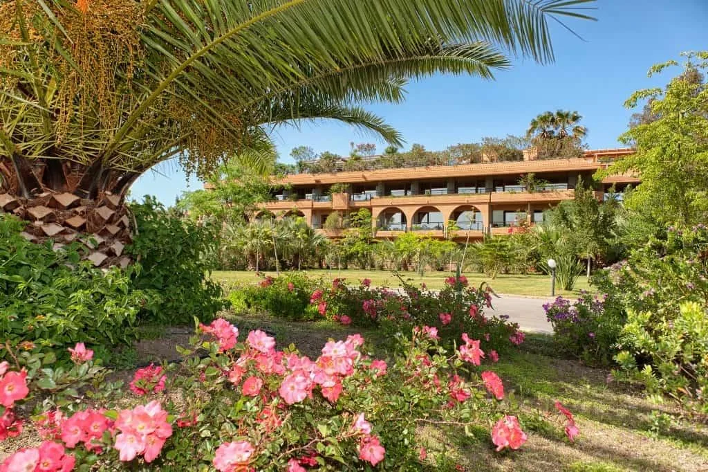 Hotel Mangia's Acacia Resort