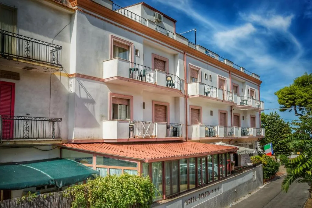HOTEL PINETA