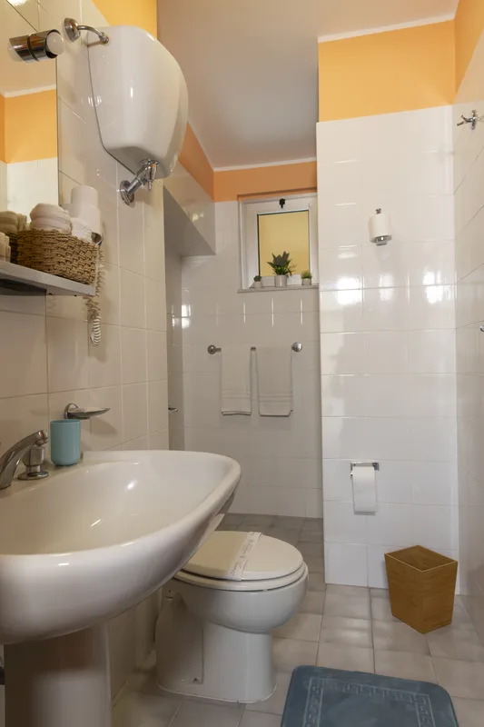 Bagno compatto con lavabo, WC e finestra con piante