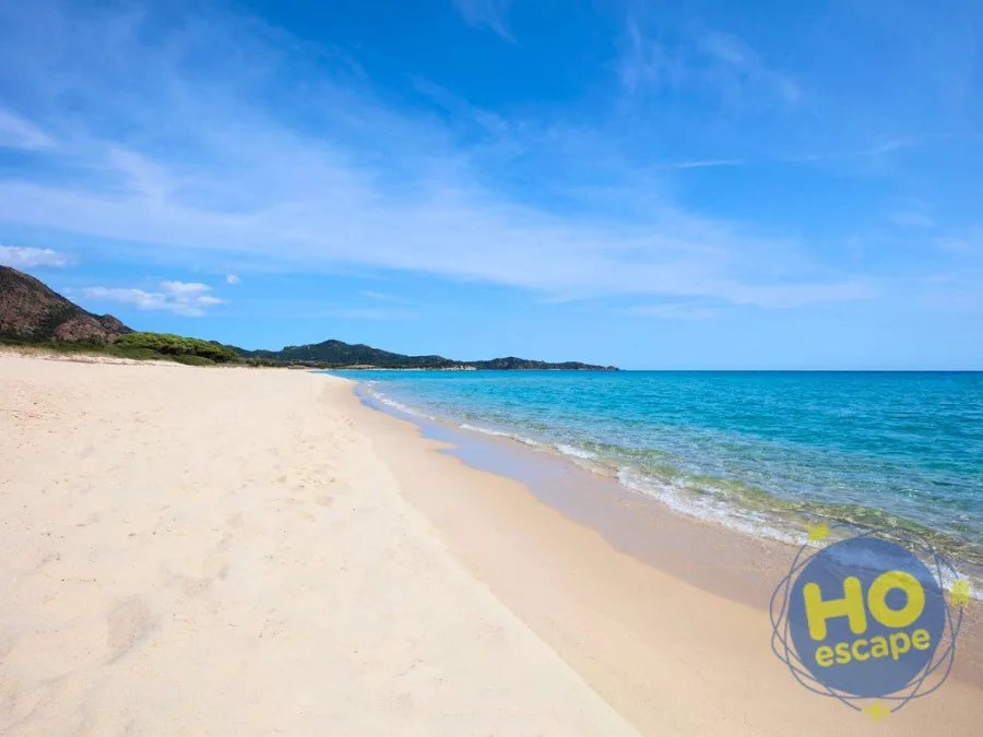 Spiaggia di sabbia dorata con mare turchese e cielo azzurro limpido