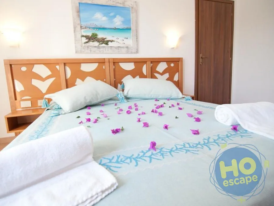 Letto matrimoniale con decorazione di petali e asciugamani, vista mare alla parete
