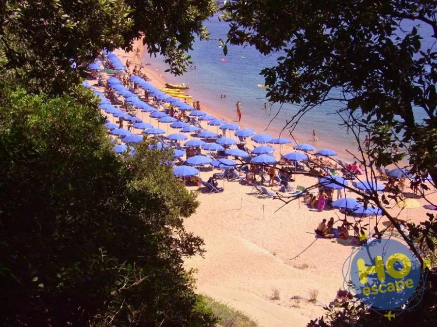 Spiaggia con ombrelloni blu vista tra la vegetazione