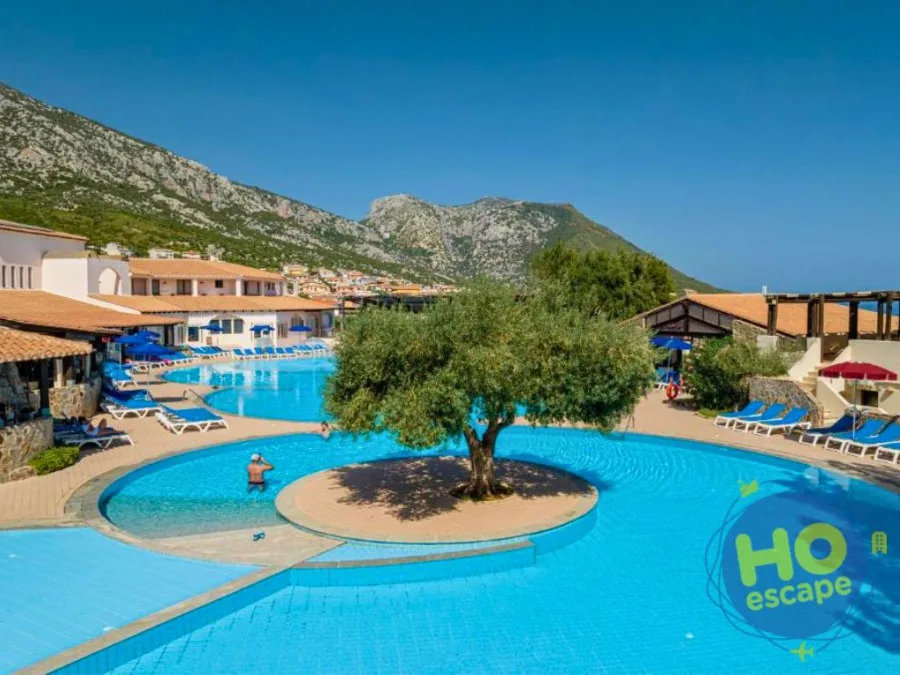 Piscina con ulivo centrale e montagne sullo sfondo