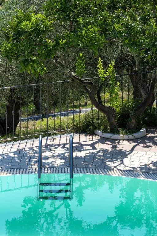 Dettaglio della piscina con scaletta e alberi di agrumi circostanti