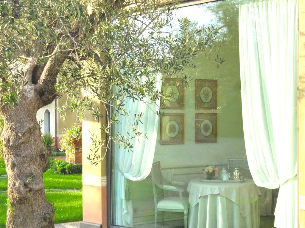 Veduta attraverso vetrata di salottino interno con ulivo e giardino in primo piano