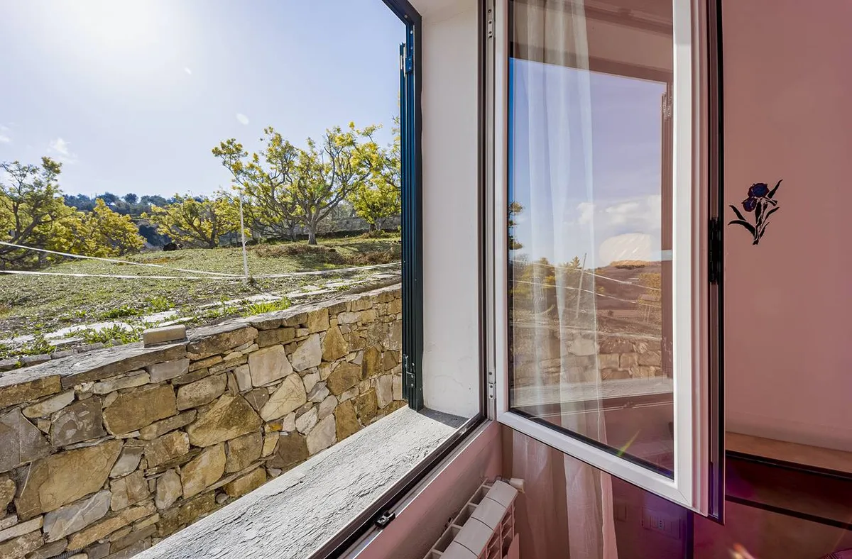 Finestra aperta con vista su prato, muro in pietra e alberi di mimosa fioriti