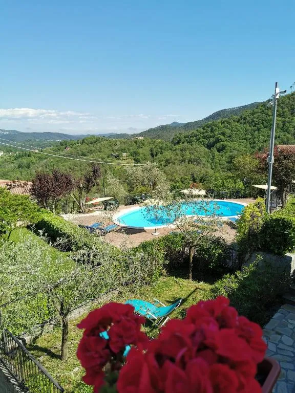 Vista sulla piscina immersa nel verde con colline e montagne sullo sfondo e fiori rossi in primo piano