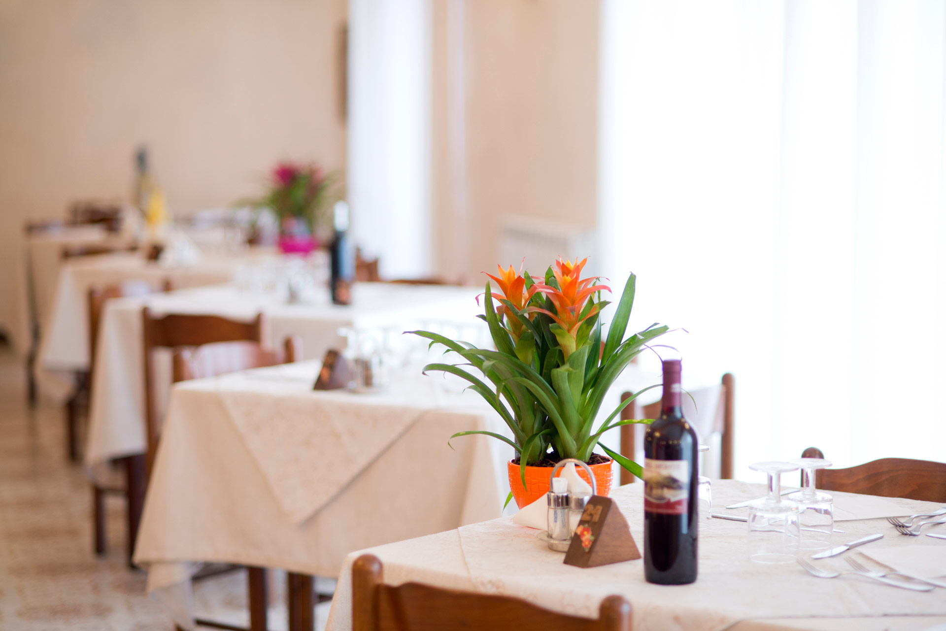 Hotel Aragonese