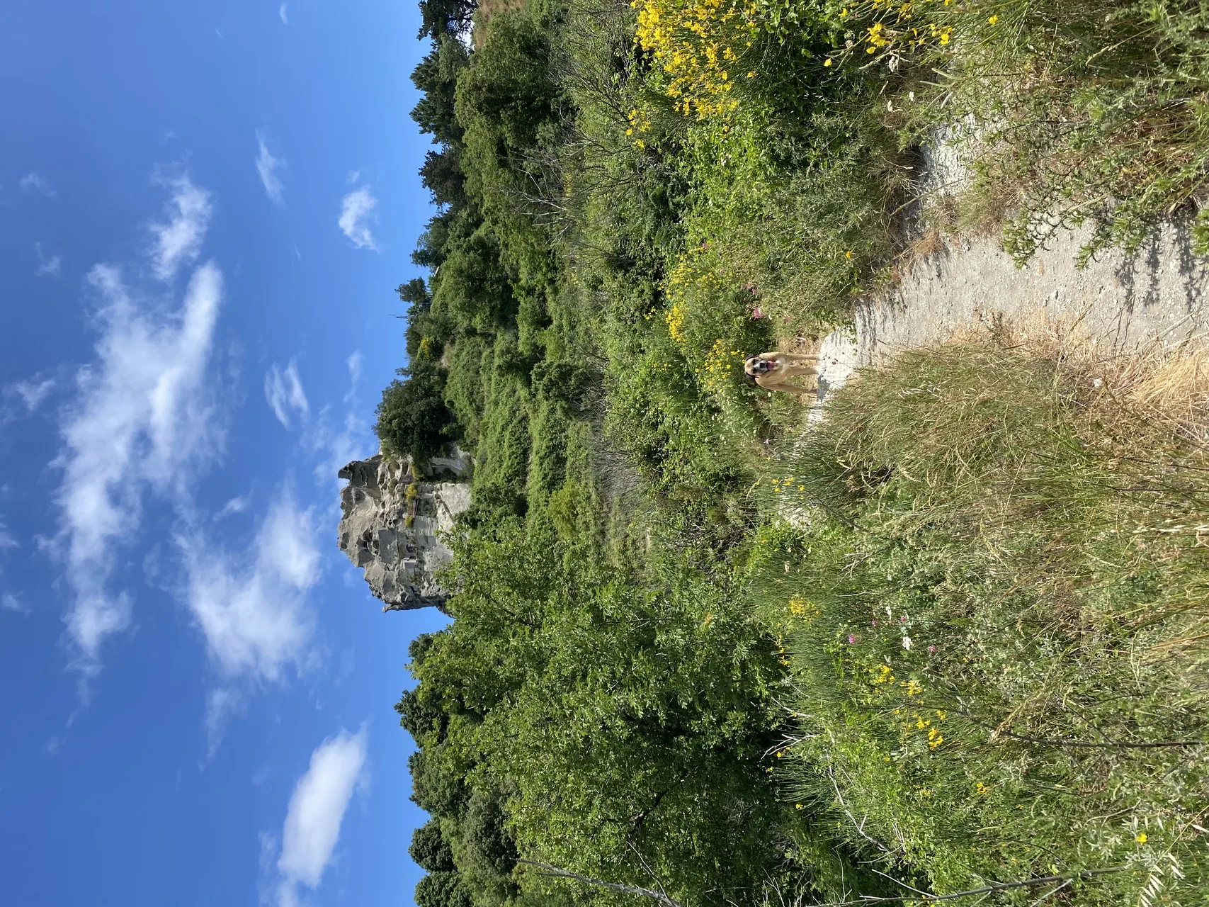 Pasqua sulla cima del Monte Epomeo