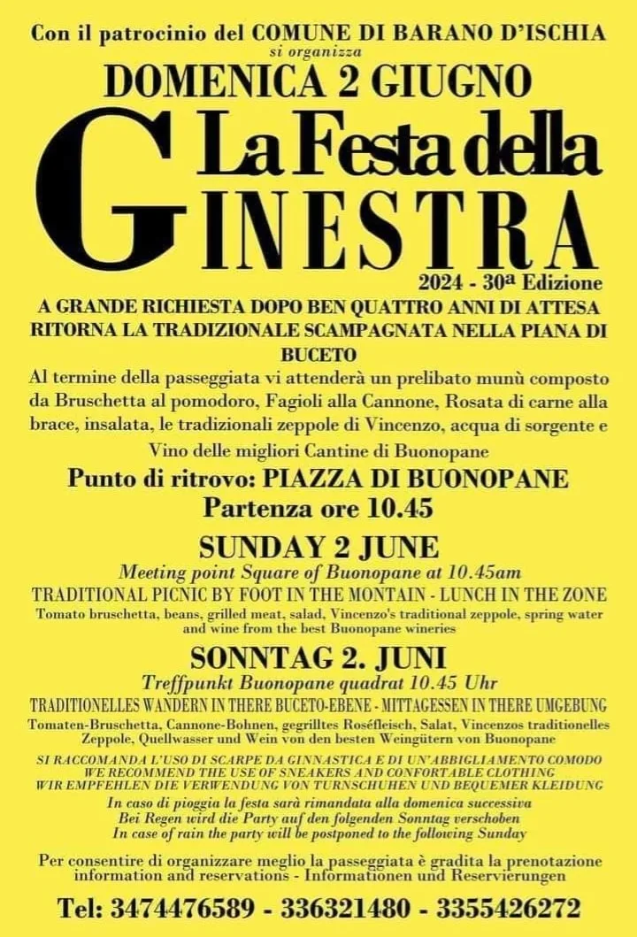 Festa della Ginestra