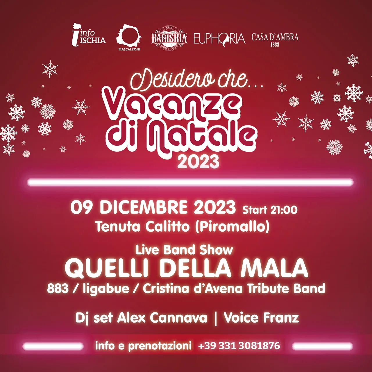 Desidero che...Vacanze di Natale