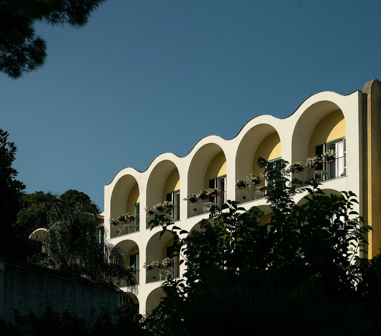 Ischia Safari 2026 (X edizione)